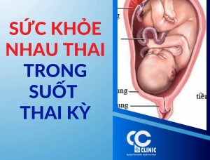 Những Yếu Tố Ảnh Hưởng Đến Sức Khỏe Nhau Thai Trong Suốt Thai Kỳ